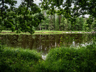 Salmon river landscape in a beautiful summer day.
Swedish river and natural area in summer