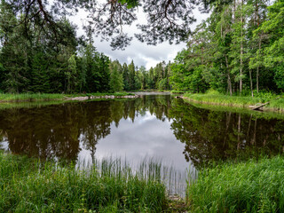 Salmon river landscape in a beautiful summer day.
Swedish river and natural area in summer