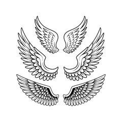 Hand Drawn Angel Wings Set in Black and White – Vector Illustration