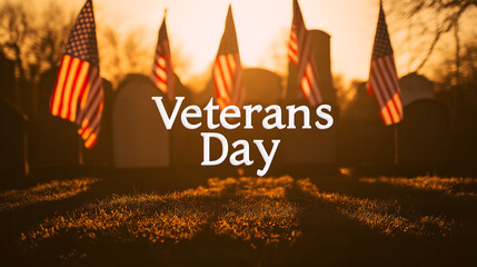 Veterans day flags honoring fallen soldiers in cemetery at sunset time