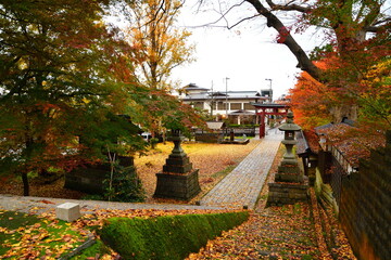 加茂山公園の紅葉（新潟県）