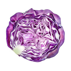 Obraz premium Cross section of a vibrant red cabbage, isolated on transparent background, png