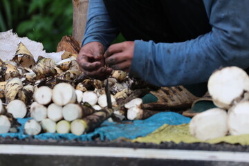 Bamboo shoots selling in Laos