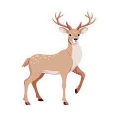 Obraz premium Vector illustration of a gentle deer with elegant antlers and delicate stance on white background
