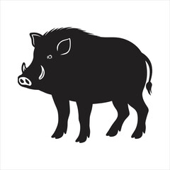 silhouette of single  pig  on the way on the white background