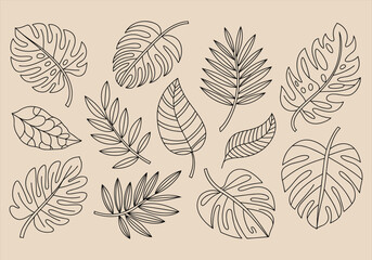 Vector illustration of tropical leaves in outline style - tropical, leaves, outline, vector, botanical, nature, foliage, design, minimal, sketch.