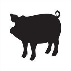 silhouette of single pig on the white background