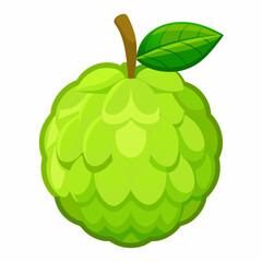 vector illustration of an apple