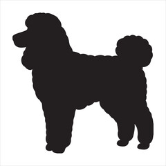 silhouette of pet dog on the white background