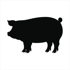 silhouette of single pig on the white background