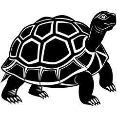 turtle vector illustration