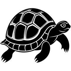 turtle vector on a white background
