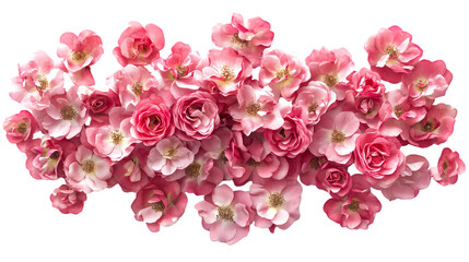 Fototapeta premium A collection of pink roses and rosebuds arranged together in a floral display isolated on transparent background