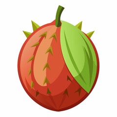 vector illustration of a watermelon