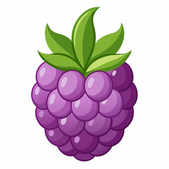 vector illustration of a raspberry