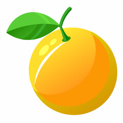 vector illustration of an orange