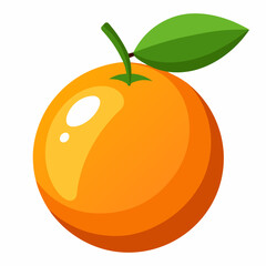 orange fruit vector illustration
