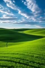 Obraz premium Rolling green hills under a blue sky with fluffy clouds