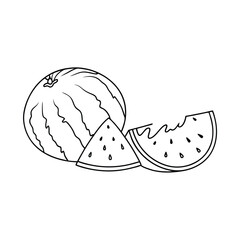 Simple outline illustration of a whole watermelon and two slices with seeds on white background