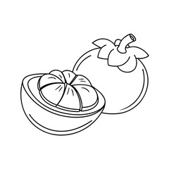 Mangosteen Fruit Illustration, Tropical Exotic Food Sketch