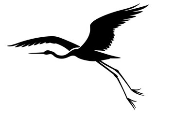 Silhouette of a graceful bird in flight against a transparent background