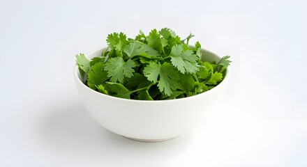 Fresh Coriander Leaves in White Bowl on Clean White Background