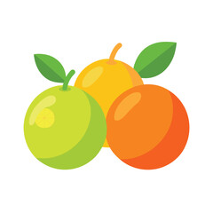 vector illustration of an orange