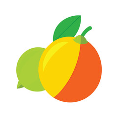 vector illustration of an orange fruit