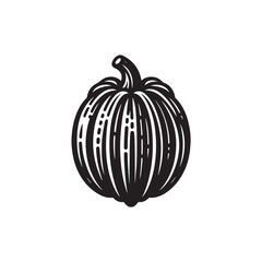 Acorn Squash Vector (2).eps