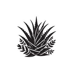 Aleo Vera Vector (2).eps