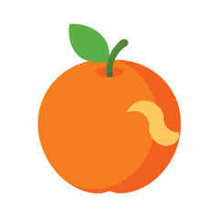 vector illustration of an orange