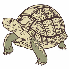 turtle vector on black and  white background