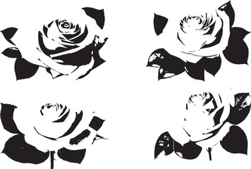Naklejka premium silhouette rose set on white background