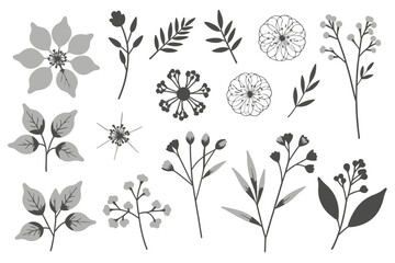 Elegant Floral Vector Collection - Beautiful Botanical Designs for Your Creative Projects - Includes Flowers, Leaves, and Branches in Black and White