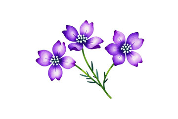 Obraz premium Watercolor Purple Flowers Illustration - Delicate Floral Artwork with White Background - Perfect for Botanical Designs and Spring Themes