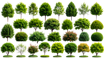 Variety Pack of Bushes and Trees – Nature Elements on Transparent Background