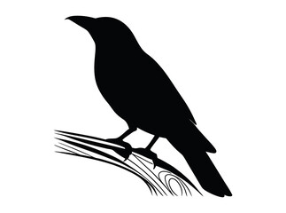 Silhouette of a bird perched on a branch, bold silhouette of a bird, likely a crow or similar species, perched on a branch. bird, crow, raven, silhouette, black and white, monochrome, nature, wildlife