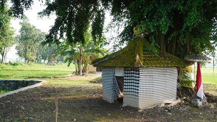 Hindu Sacred Tree Building