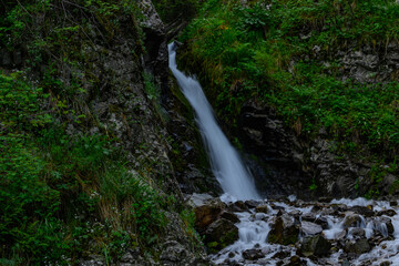 Naklejka premium waterfall in the forest