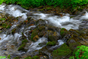 small waterfall in the forest