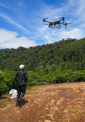 Tea picker on a tea plantation in Nuwara Eliya, Sri Lanka. Over one million Sri Lankans are employed in the tea industry.