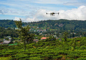 Flying industrial drone over a tea plantation in Nuwara Eliya, Sri Lanka, Asia. Image of an agricultural drone carrying a tank of liquid fertilizer.