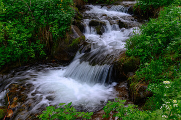 waterfall in the forest
