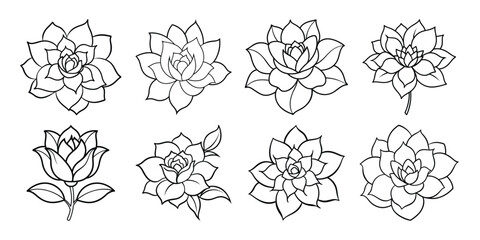 Set of vector flower line art on white background