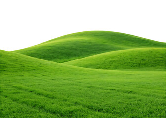 Lush green rolling hills with vibrant grasses underneath a black sky background