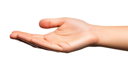Open human hand palm up isolated on white background