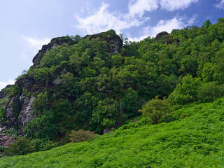 You can see the lower part of Strickeen Mountain. It is covered in trees, shrubs and ferns. The top of the mountain is rocky, with green plants covering most of it under a cloudy sky in Ireland.
