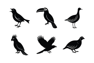 Obraz premium Bird Silhouettes Collection