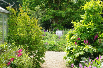 flower, garden, cambridge, cambridge tropical garden, may 2025, sony a6000, nature, garden
