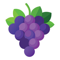 bunch of grapes isolated on white